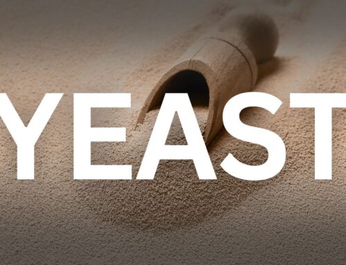How to Select the Best Quality Yeast for Brewing