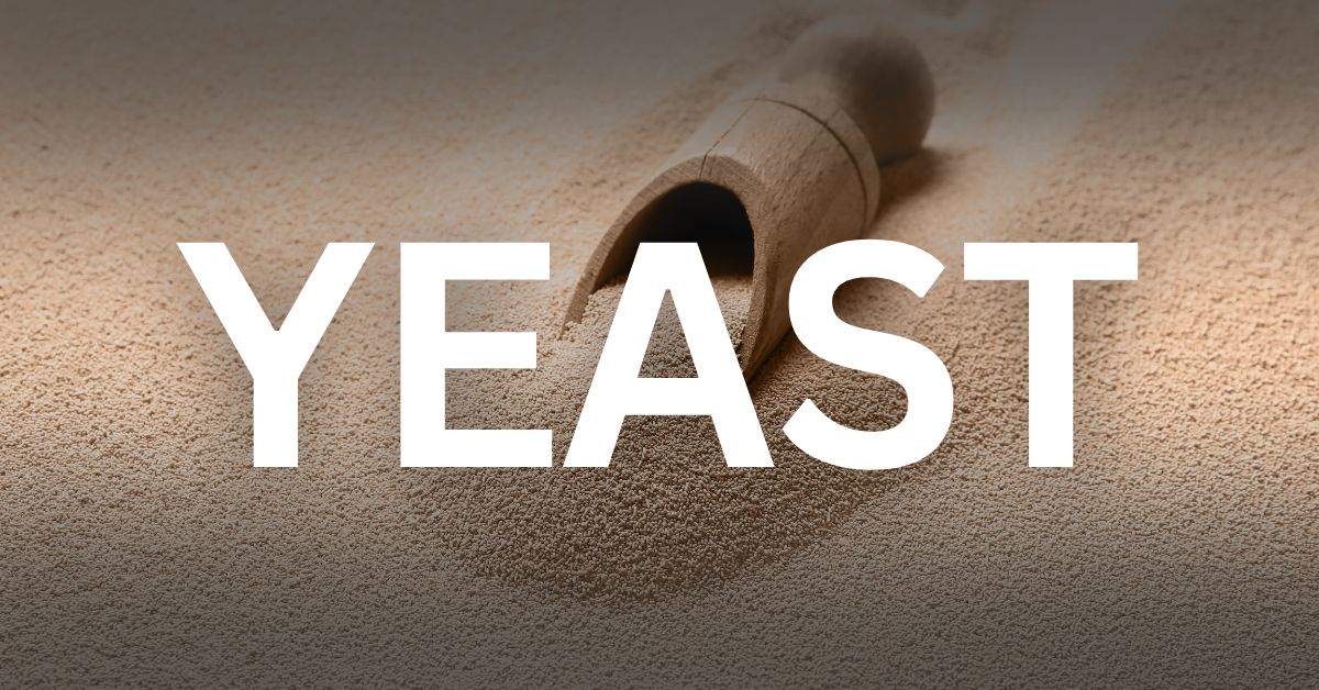 yeast for brewing